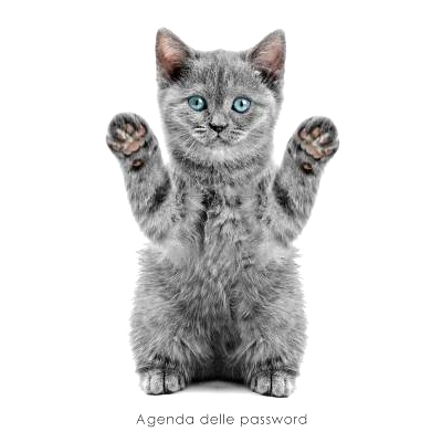 预订 Agenda delle password: Agenda degli indirizzi web e delle password di accesso - Copertina gattino giocoso: 97815427