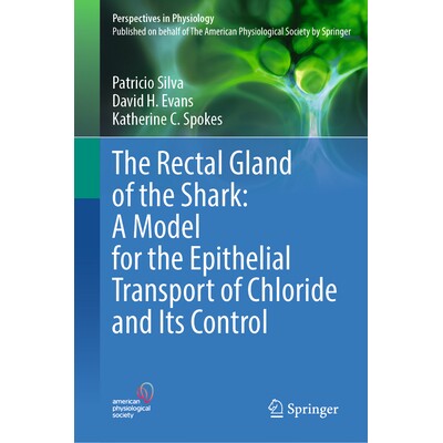 A Model for the Epithelial Transport of