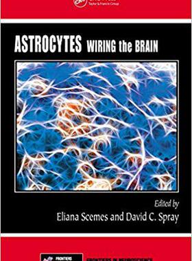 【预售】Astrocytes