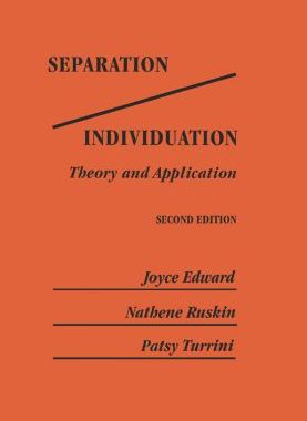 【预订】Separation/Individuation: Theory And Application