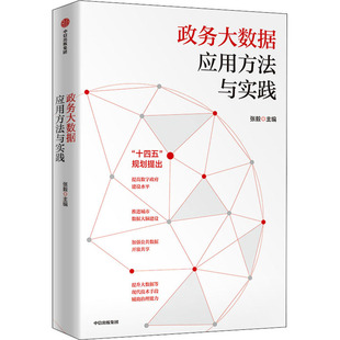 政务大数据应用方法与实践  9787521731026