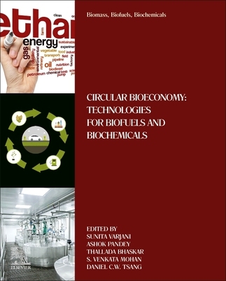 【预订】Biomass, Biofuels, Biochemicals 9780323898553