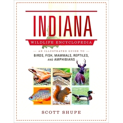 预订 Indiana Wildlife Encyclopedia: An Illustrated Guide to Birds, Fish, Mammals, Reptiles, and Amphibians 印第安纳野生