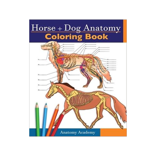 [预订]Horse + Dog Anatomy Coloring Book: 2-in-1 Compilation Incredibly Detailed Self-Test Equine & Canine  9781914207082