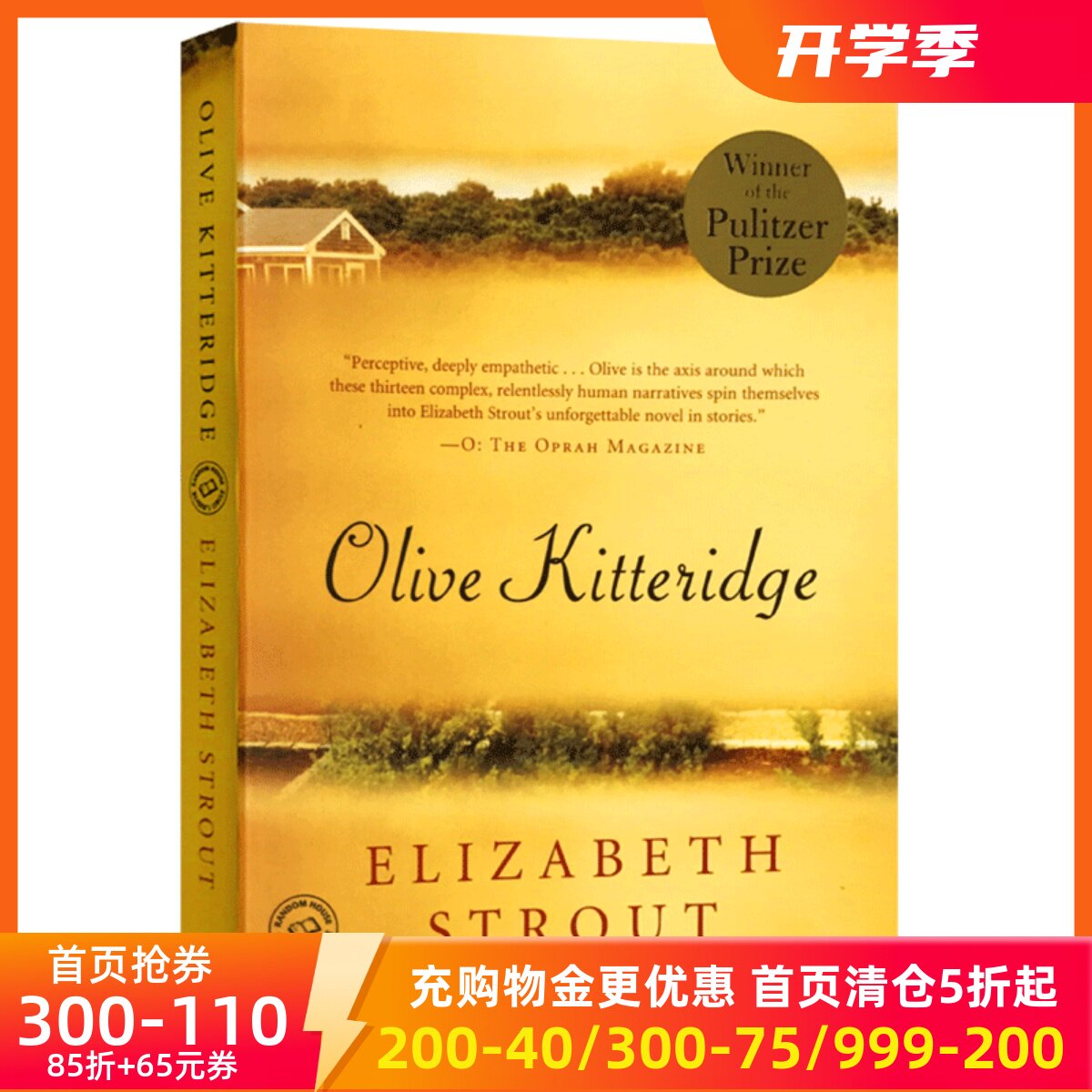 英文原版 Olive Kitteridge 奥丽芙基特里奇 普利策奖 奥斯卡影后Frances McDormand主演美剧微不足道的生活Elizabeth Strout图片