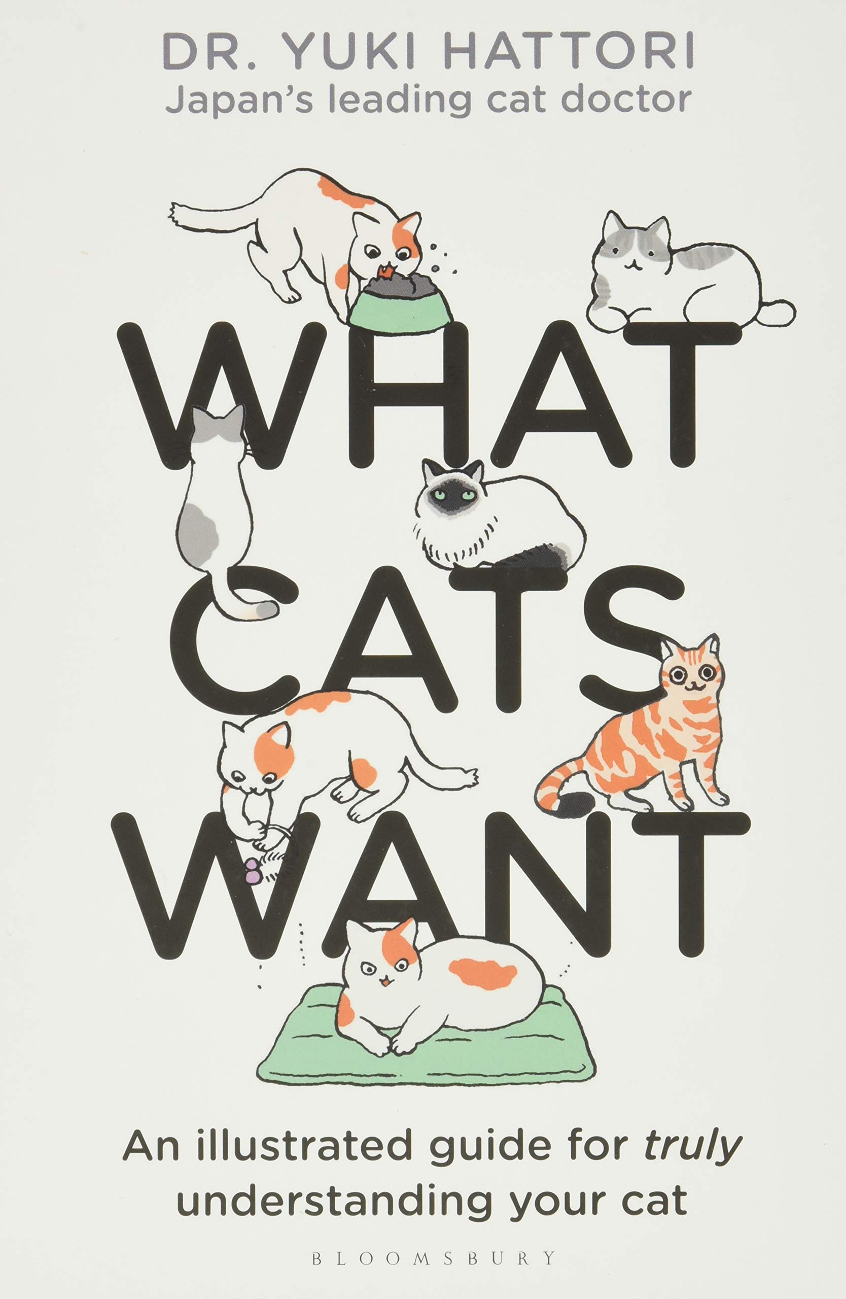 英文原版猫咪要什么插图版宠物动物行为科普 Yuki Hattori精装 What Cats Want An Illustrated Guide