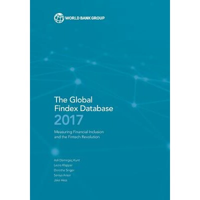 Measuring Financial Inclusion and the Fi