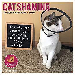 【预售】Cat Shaming 2020 Wall Calendar
