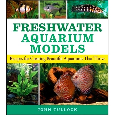 Recipes for Creating Beautiful Aquariums