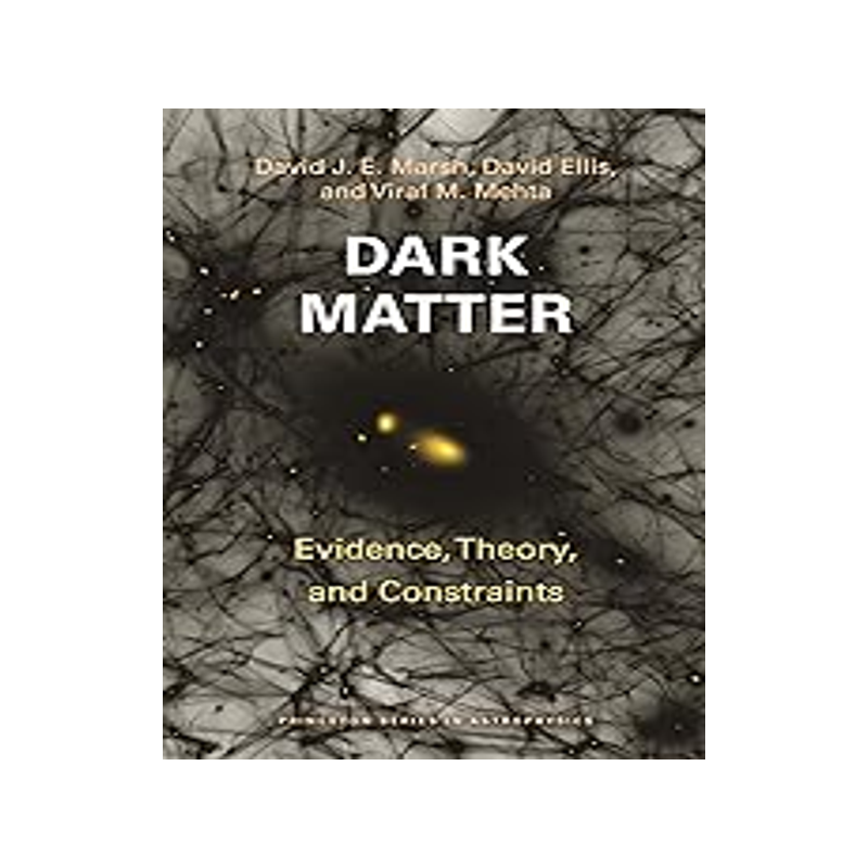 现货 Dark Matter: Evidence, Theory, and Constraints