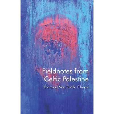 预订 Fieldnotes from Celtic Palestine 凯尔特巴勒斯坦的田野笔记: 9781837721894
