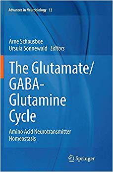 【预售】The Glutamate/Gaba-Glutamine Cycle: ... 书籍/杂志/报纸 原版其它 原图主图