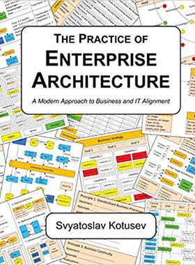 现货 The Practice of Enterprise Architect...