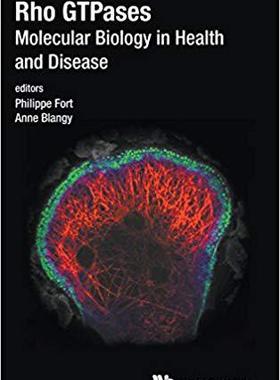 【预售】Rho Gtpases