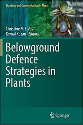 【预售】Belowground Defence Strategies in Pl...