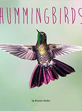 【预售】Hummingbirds