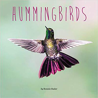 【预售】Hummingbirds