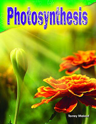 【预售】Photosynthesis (Grade 3)