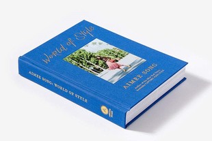 时尚 Ins网红 穿搭图集 World 世界 Song 风格 博主 英文原版 Style Aimee