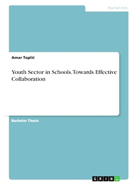 预订 Youth Sector in Schools. Towards Effective Collaboration: 9783346982520