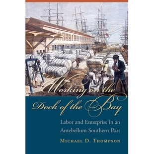 预订 Working on the Dock of the Bay: Labor and Enterprise in an Antebellum Southern Port 在海湾码头工作：战前南部港口的