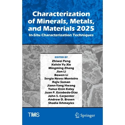 In-Situ Characterization Techniques