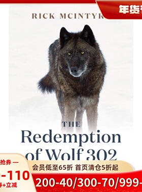 302号狼的救赎 黄石公园 狼王四部曲系列3 英文原版 The Redemption of Wolf 302: From Renegade to Yellowstone Alpha Male