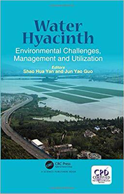 【预售】Water Hyacinth