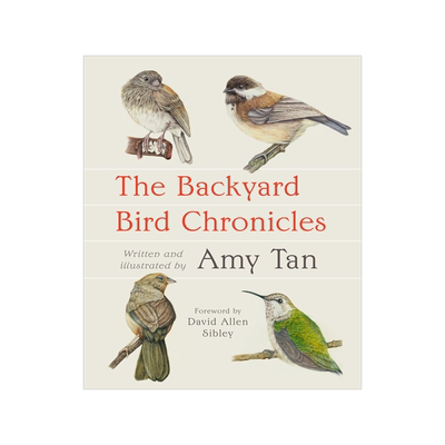 现货 后院观鸟 Amy Tan 喜福会作者 谭恩美的鸟类观察日记 The Backyard Bird Chronicles 英文原版