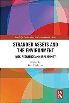 【预售】Stranded Assets and the Environment