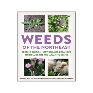 [预订]Weeds of the Northeast 9781501755729