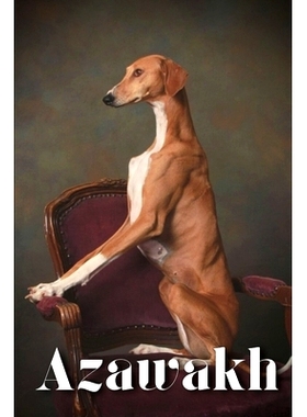 预订 Azawakh: How to train your dog and raise from puppy correctly: 9798864925744