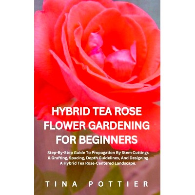 预订 Hybrid Tea Rose Flower Gardening For Beginners: Step-By-Step Guide To Propagation By Stem Cuttings & Grafting, Spac