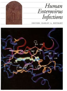 【预订】Human Enterovirus Infections