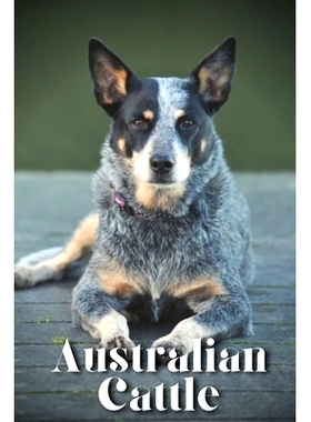 预订 Australian Cattle: How to train your dog and raise from puppy correctly: 9798864828656