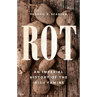 腐烂：爱尔兰饥荒 9781541601543 Imperial the Irish History 帝国史 预订 Famine Rot