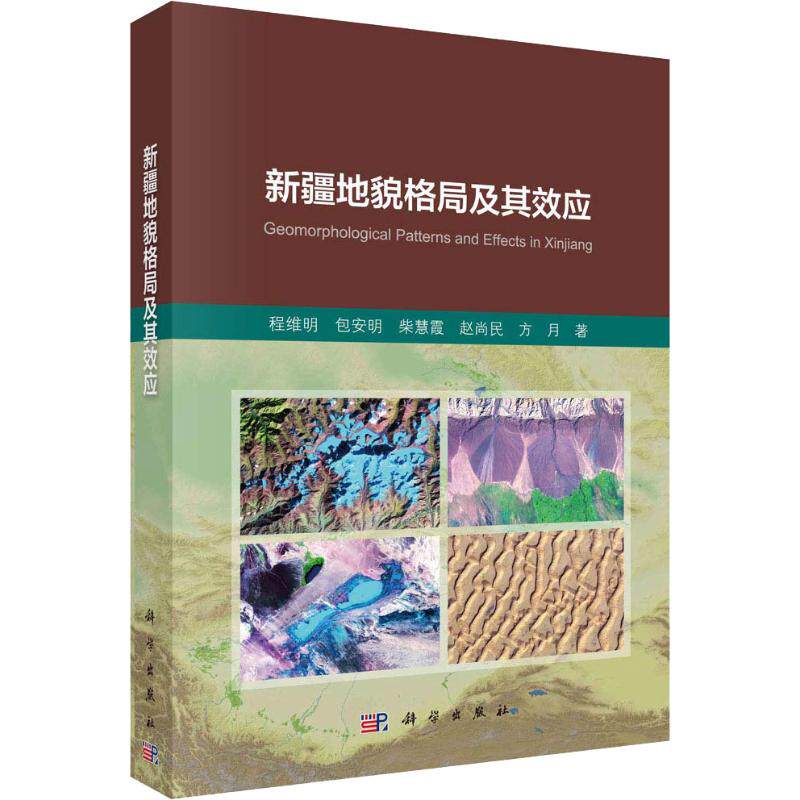 新疆地貌格局及其效应  9787030599193怎么样,好用不?