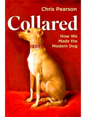 预订 Collared 领子: 9781800816411