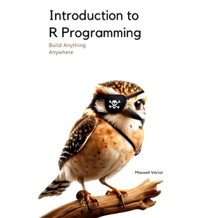 预订 Introduction to R Programming: A Comprehensive Handbook: 9798311558532