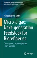 【预订】Micro-algae: Next-generation Feedstock for Biorefineries 9789811906794