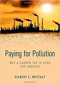 【预订】Paying for Pollution