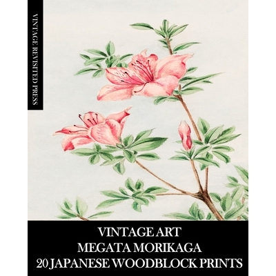 预订 Vintage Art: Megata Morikaga 20 Japanese Woodblock Prints: Ukiyo-e Ephemera for Framing, Collage and Junk Journals
