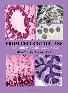 【预订】From Cells to Organs
