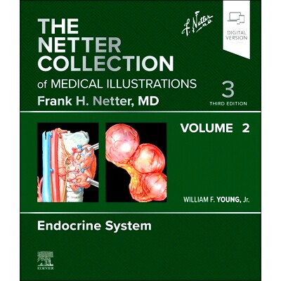 Endocrine System, Volume 2