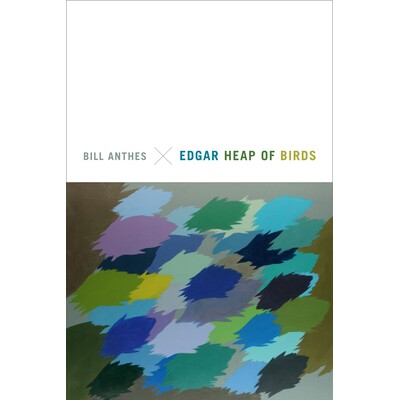 预订 Edgar Heap of Birds 埃德加堆: 9780822359944