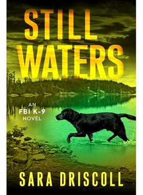 预订 Still Waters: A Riveting Novel of Suspense: 9781496754387