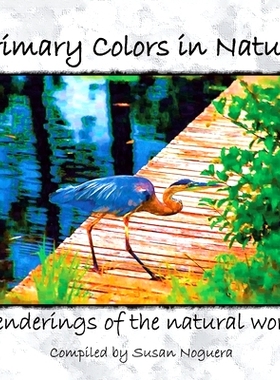 预订 Primary Colors in Nature: Renderings of the Natural World: 9781425741310