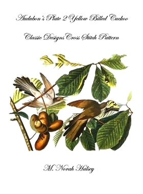 预订 Audubon’s Plate 2 Yellow Billed Cuckoo: Classic Designs Cross Stitch Pattern: 9781640041226