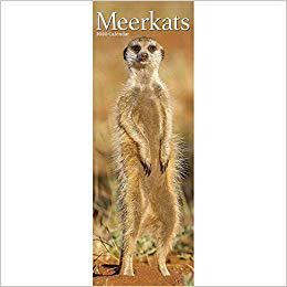 【预售】Meerkats Slim Calendar 2020