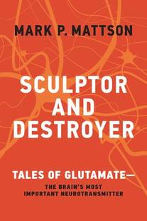 Destroyer and Sculptor 9780262048187 预订